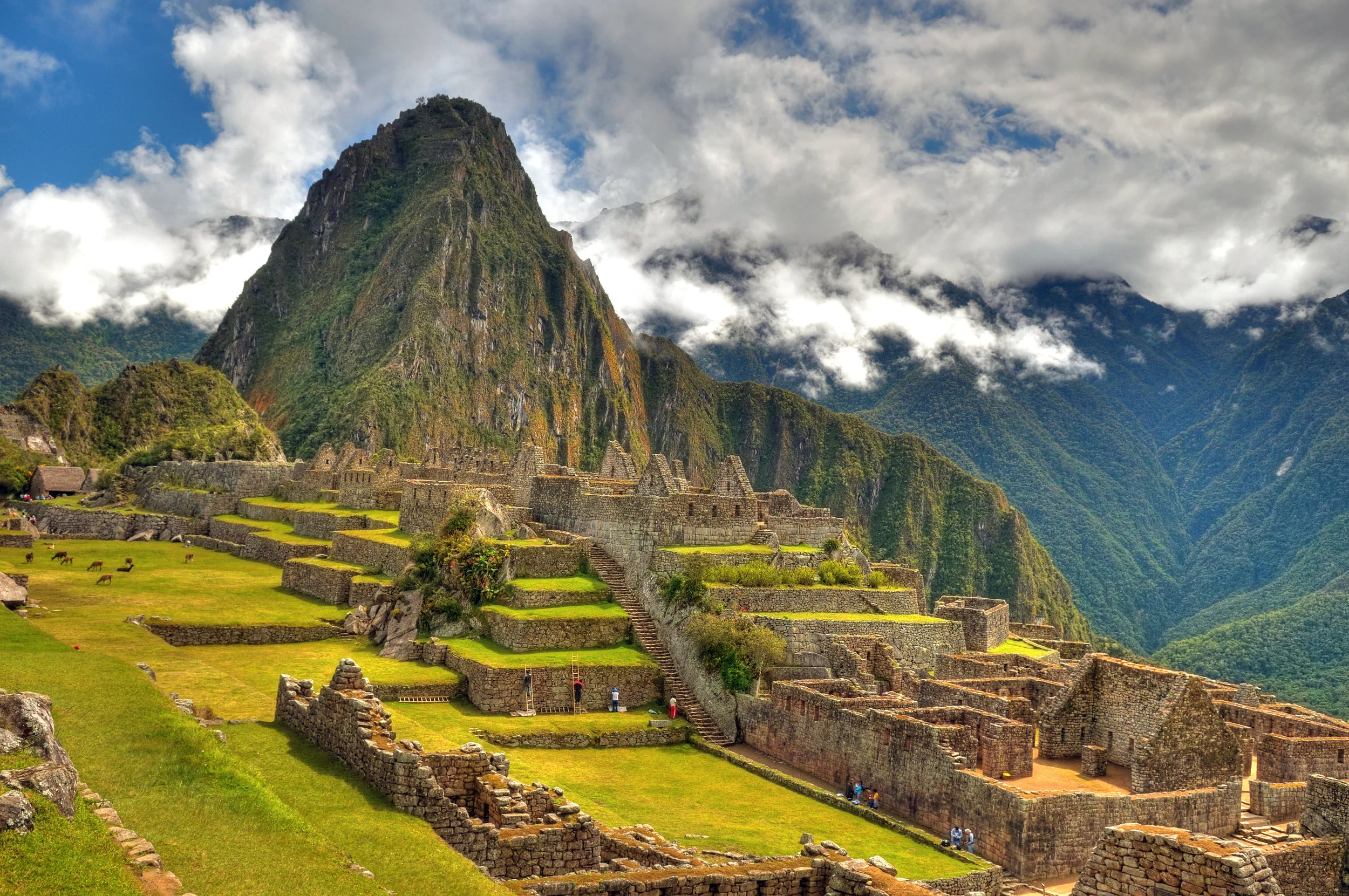 One Minute Brief of the Day: Create posters to encourage people to #GoSolo with @TucanTravel