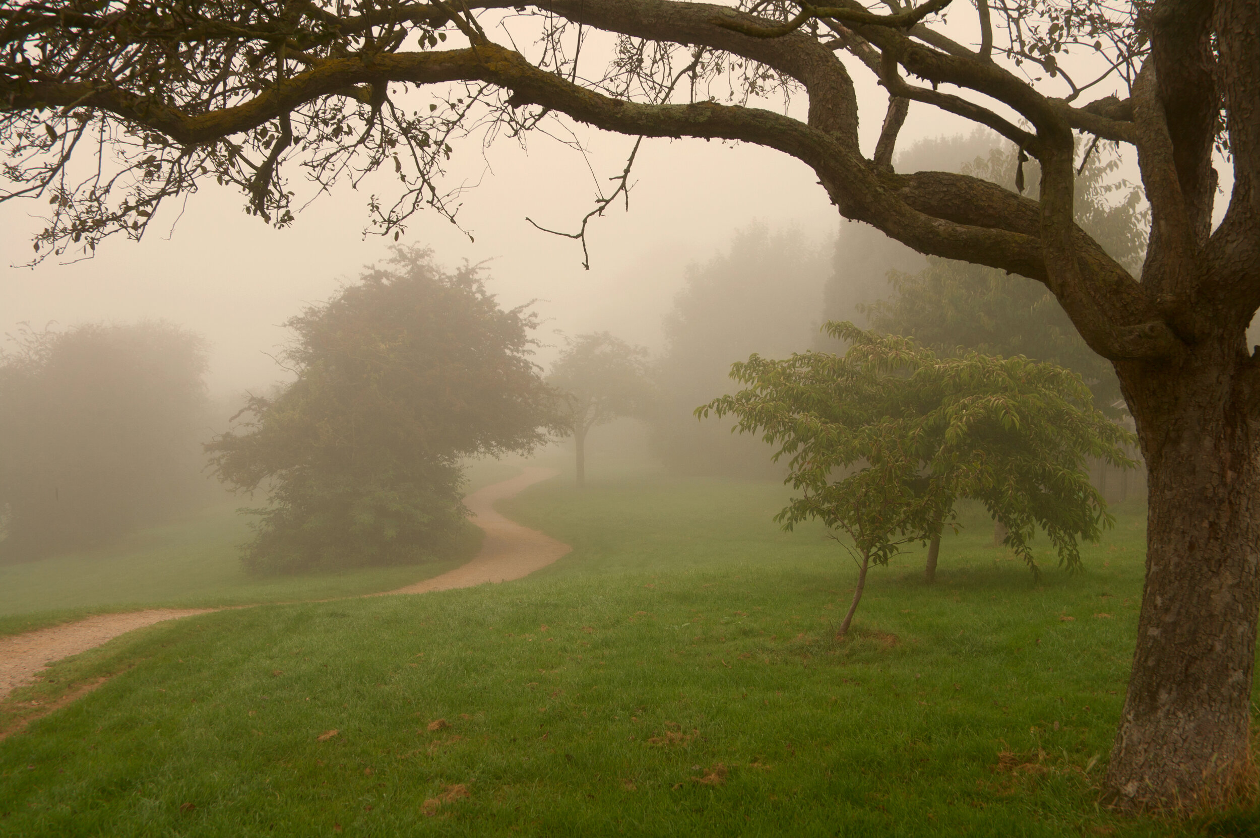 misty-autumn.jpg