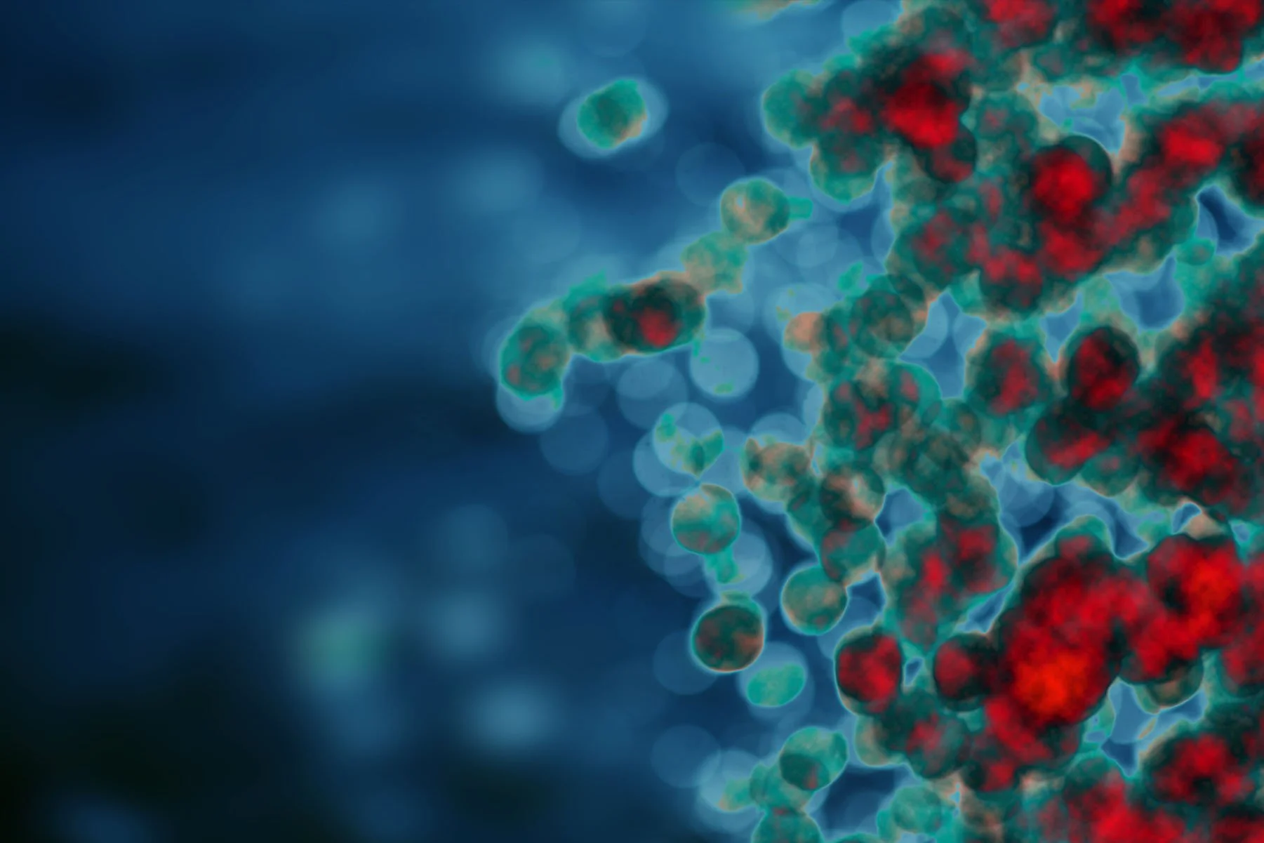 One Minute Brief of the Day: Create posters to celebrate the incredible #ImmuneSystem!!