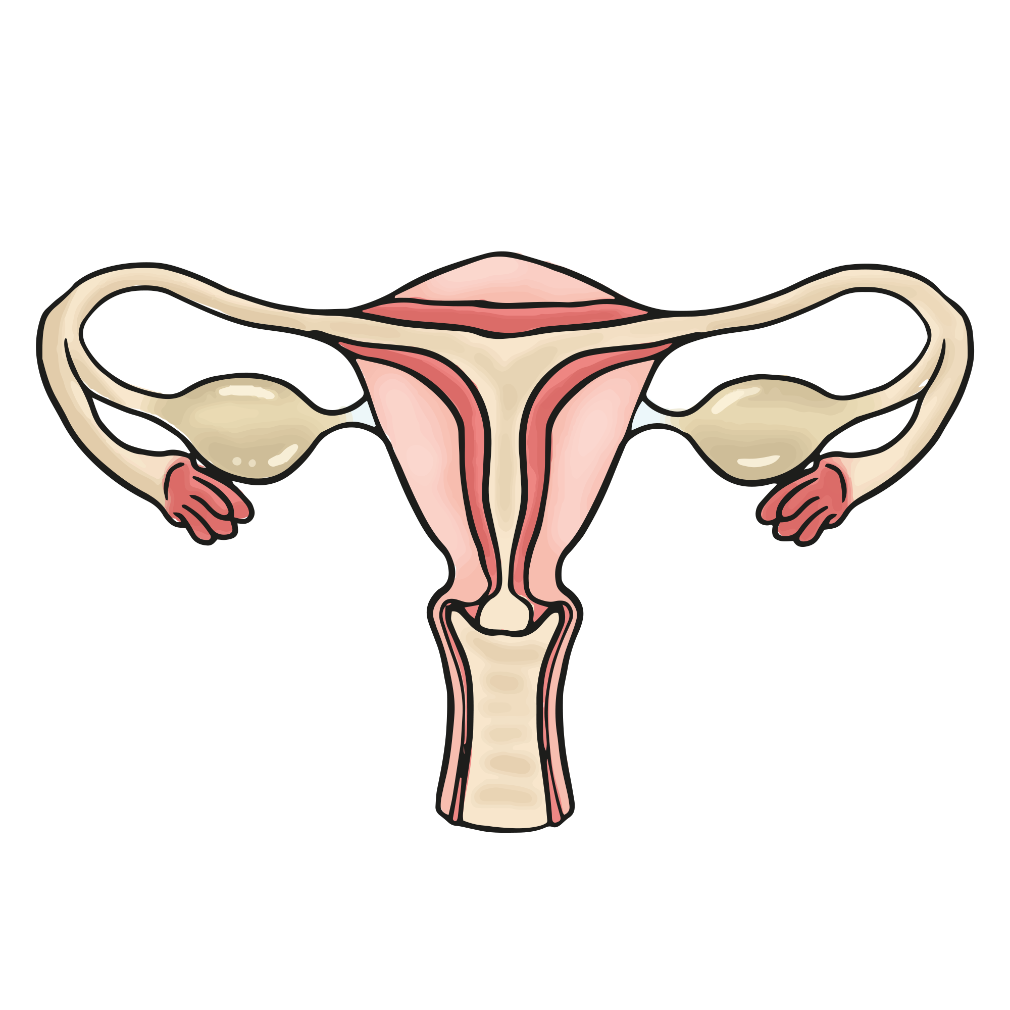 One Minute Brief of the Day:  Create posters to promote #OvarianCancerAwarenessMonth with @RCTCharity #NotOvaryacting