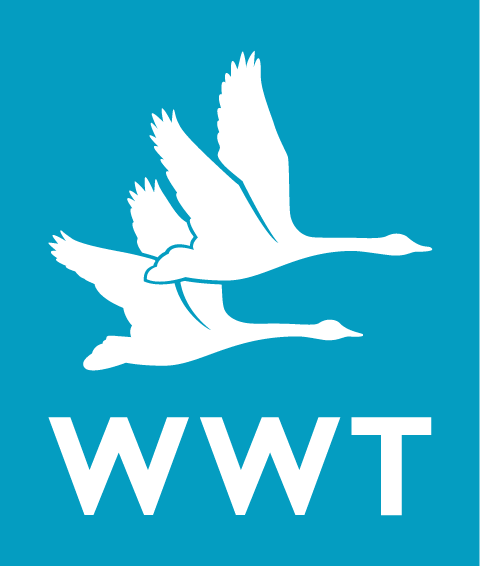 wwt_logo.png
