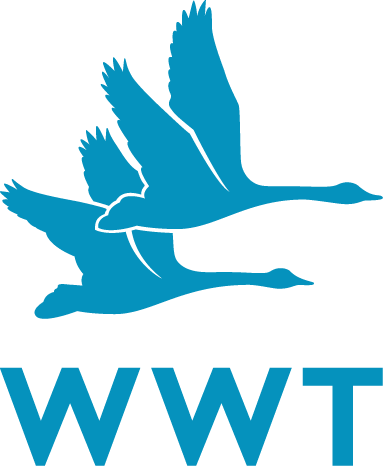 WWT_logo_RGB.png