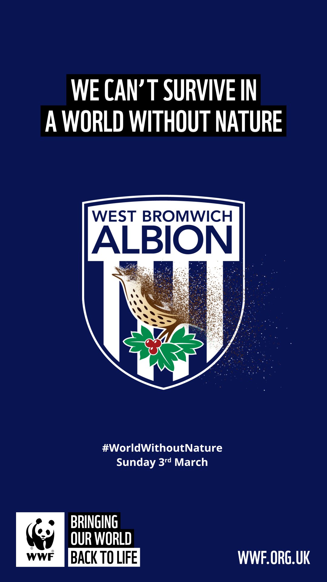 WBA-9x16-CC-OOH-Football.jpg