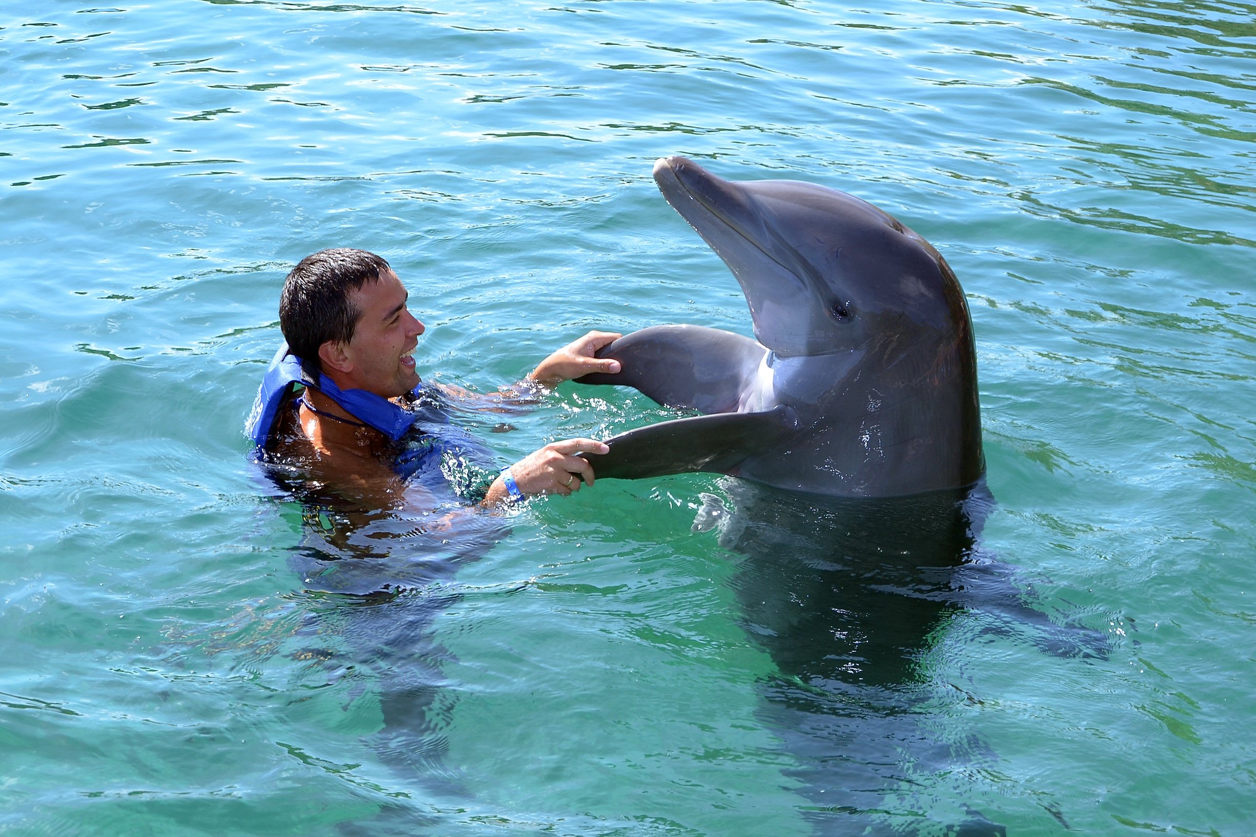 Man-holding-dolphins-fins.jpg