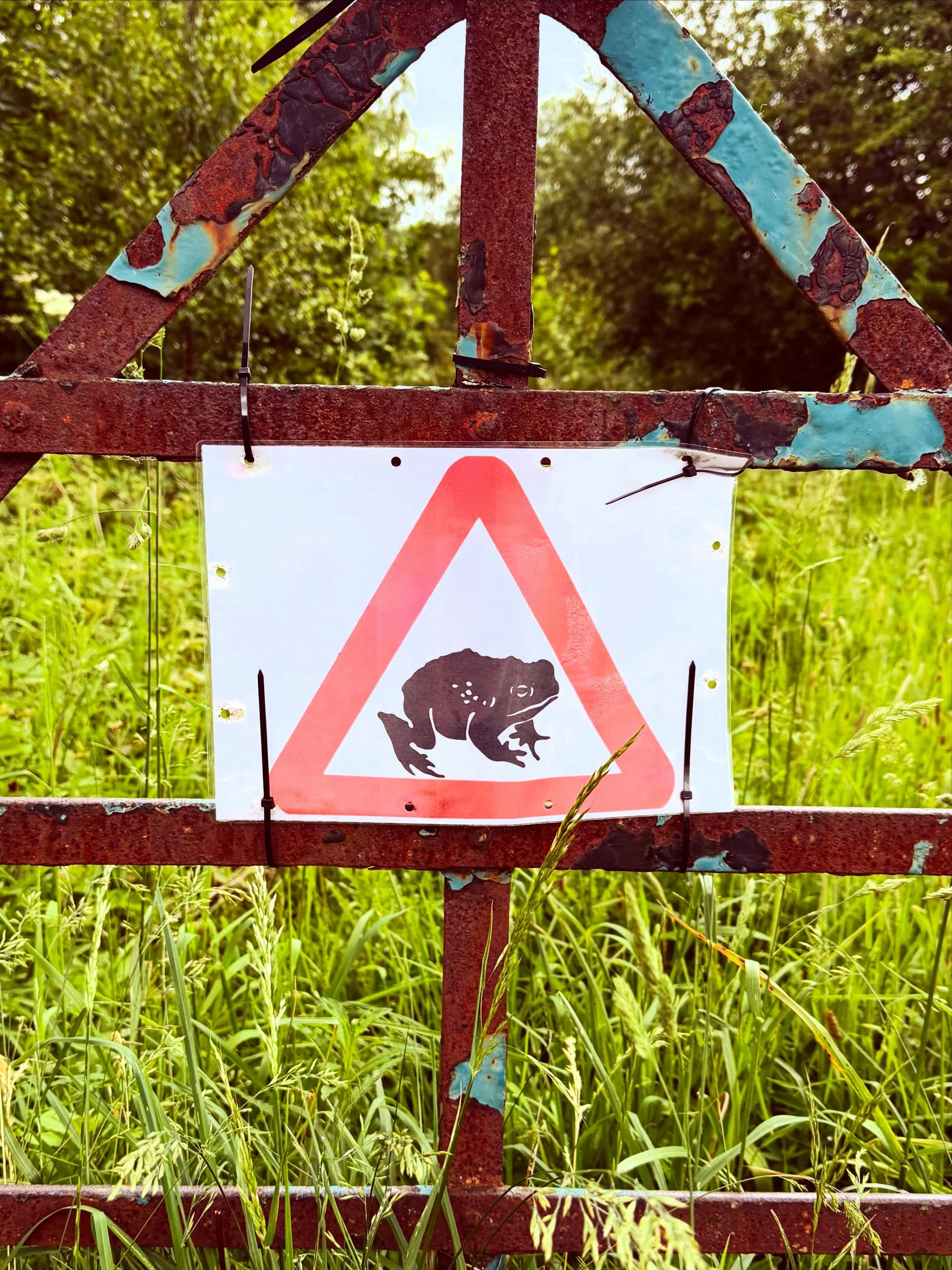 BEWARE OF THE FROG 🐸 

Love a homemade sign I do. 

#sign #graphicdesign #warning