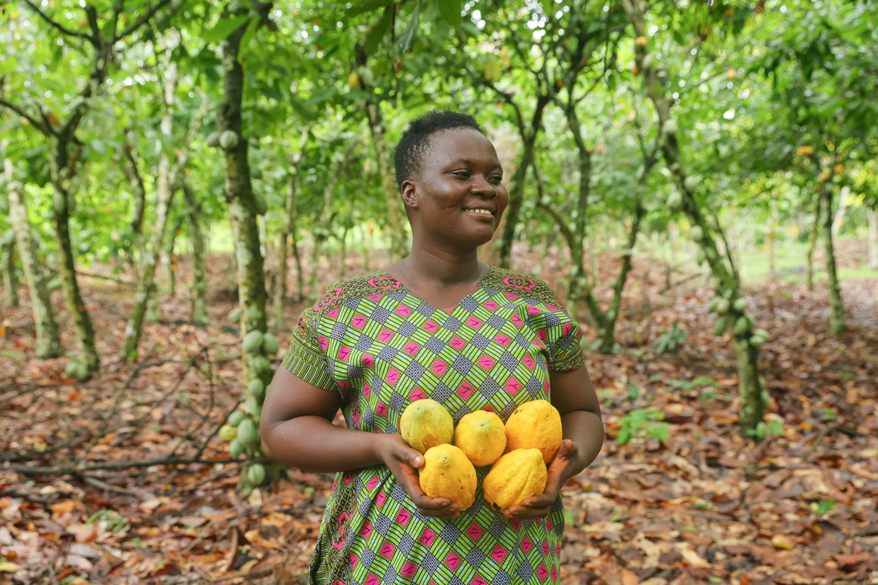 2024_Ghana_Cocoa_dupe1 Large.png