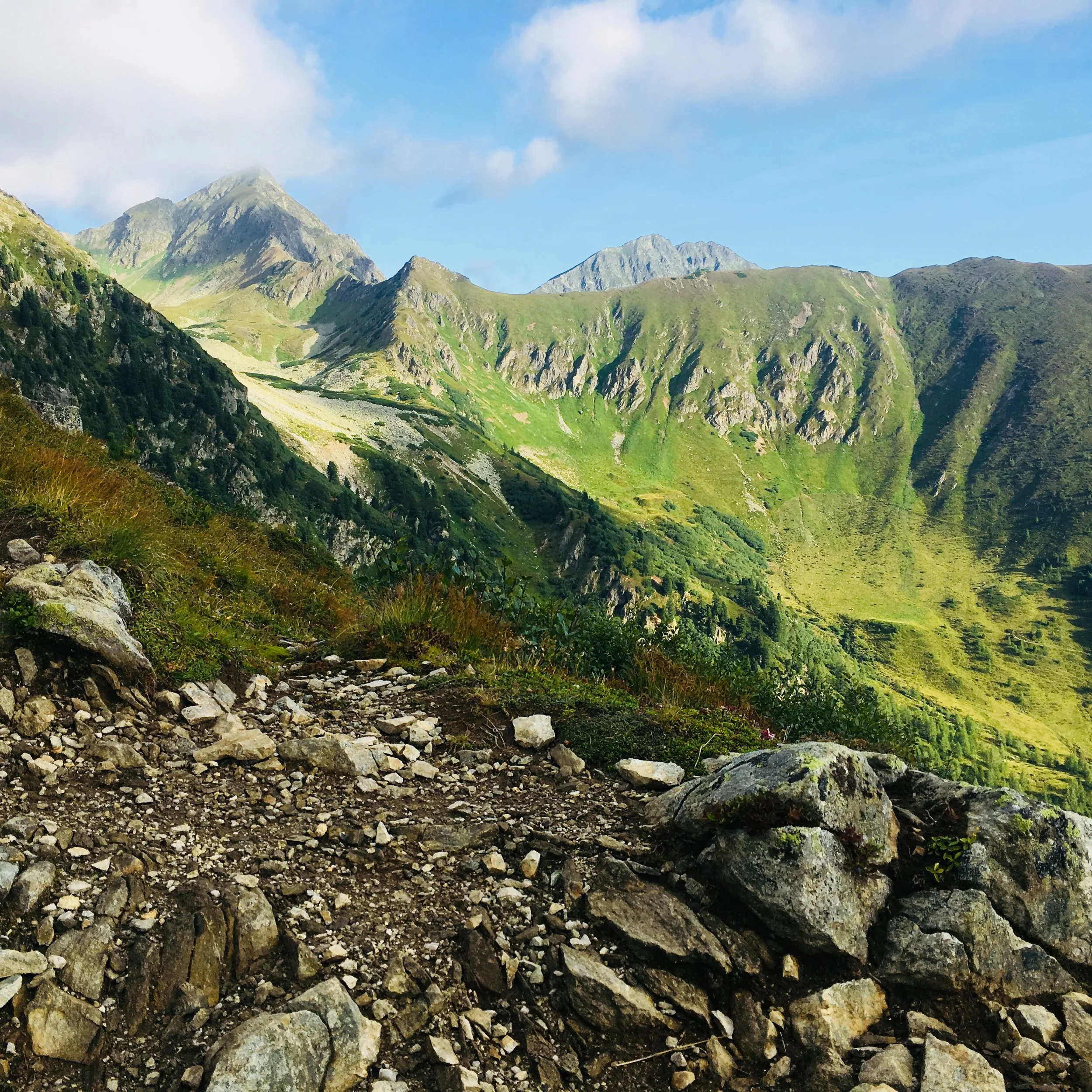 AlpenPic.jpg