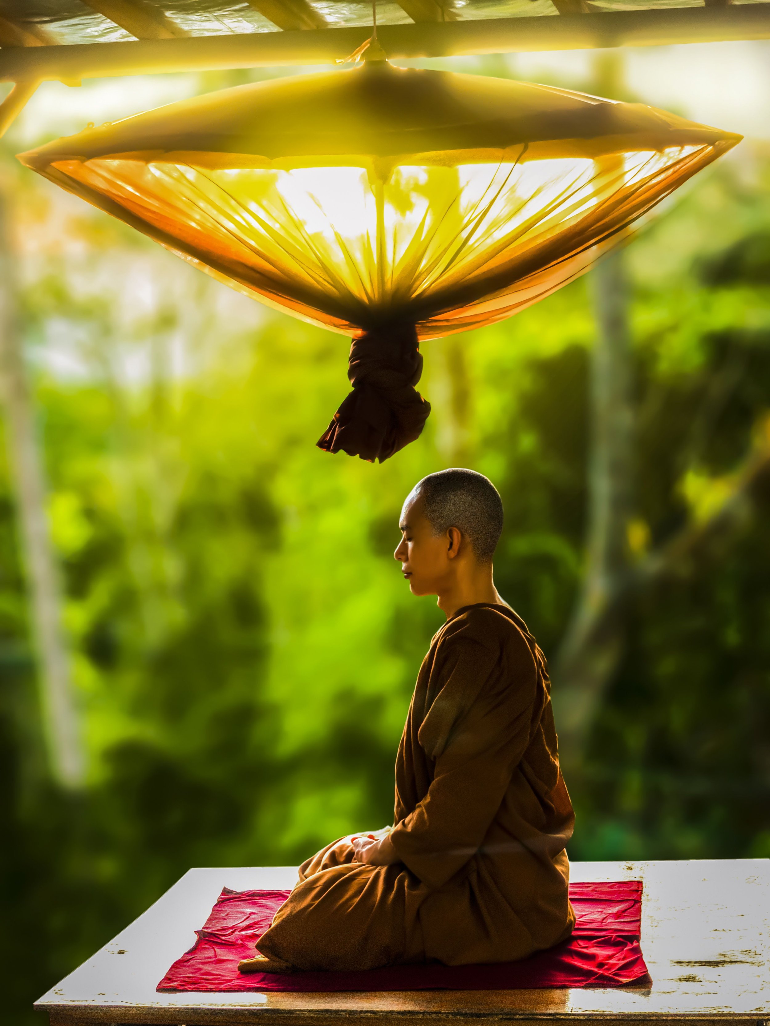 onk practising seated meditation, embodying the present-moment awareness shared with Somatic Experiencing