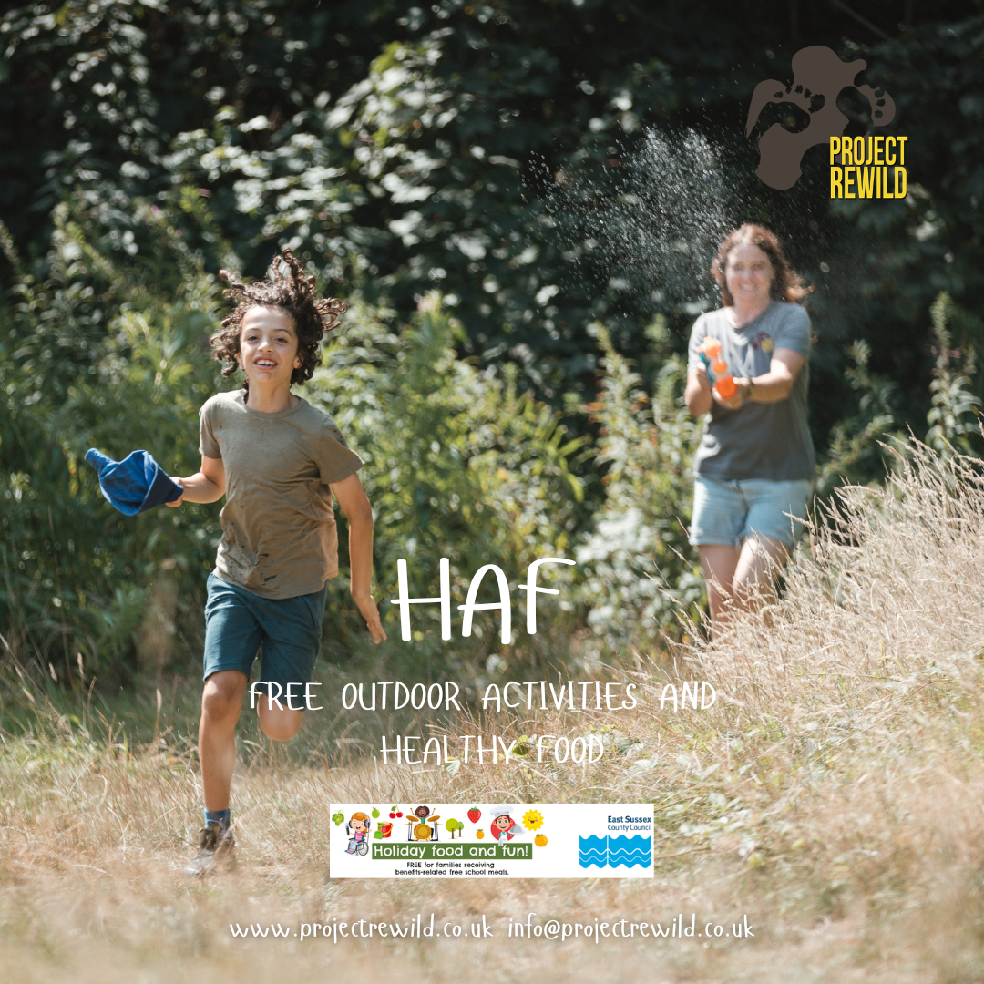 31st March - HAF -North Seat