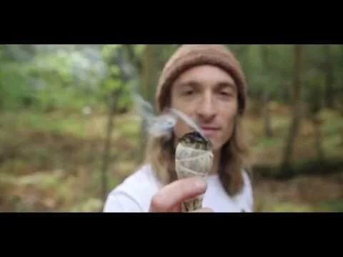 Free to Learn (Copy)