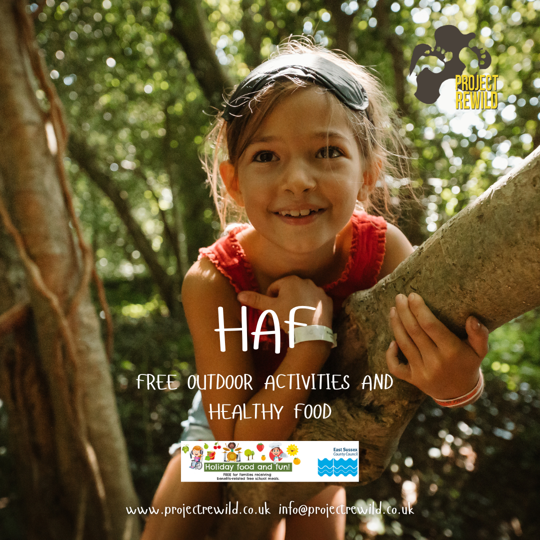 Close-up of worn sneakers on a person standing outdoors on a grassy area, with blurred background.