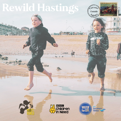 10th April  - West St Leonard's Beach