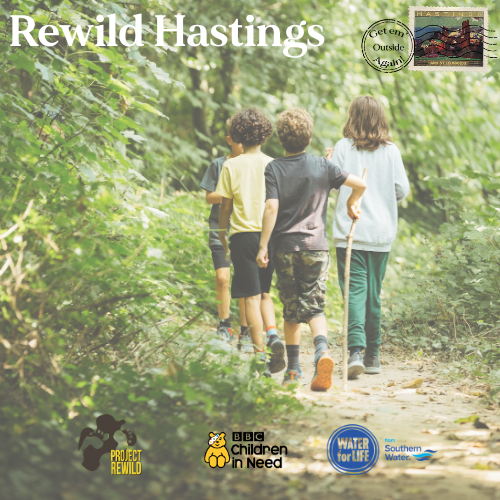 30th March - Woody Wood, Hollington