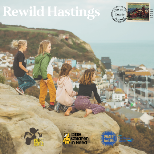 Rewild Hastings