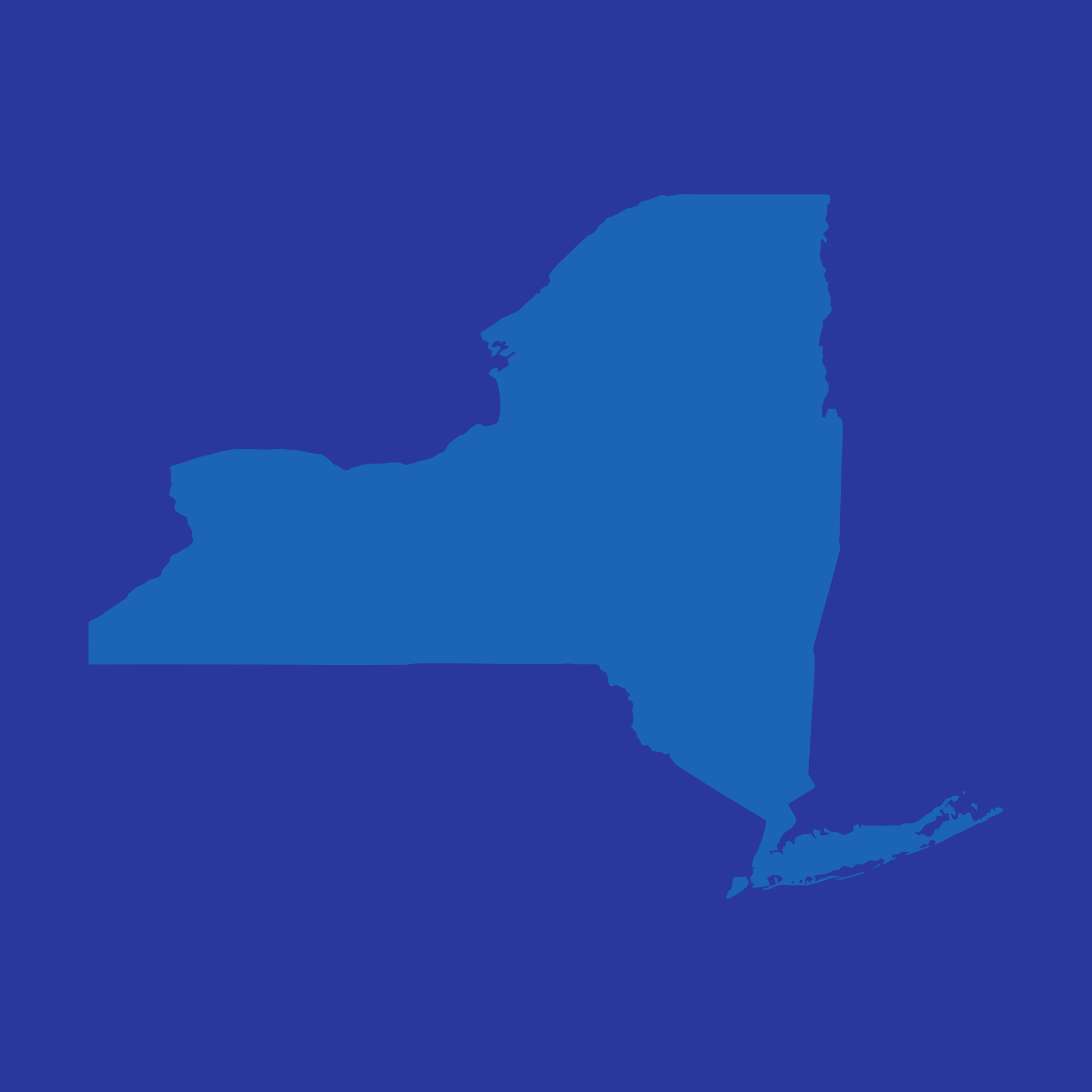 NYS.jpg