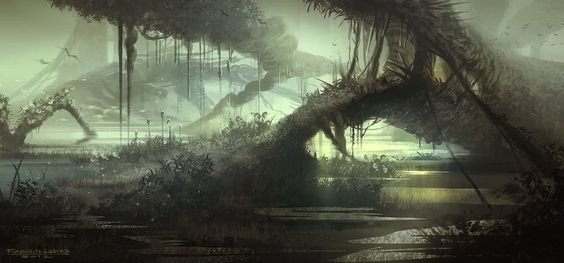 unnamed (1).jpg