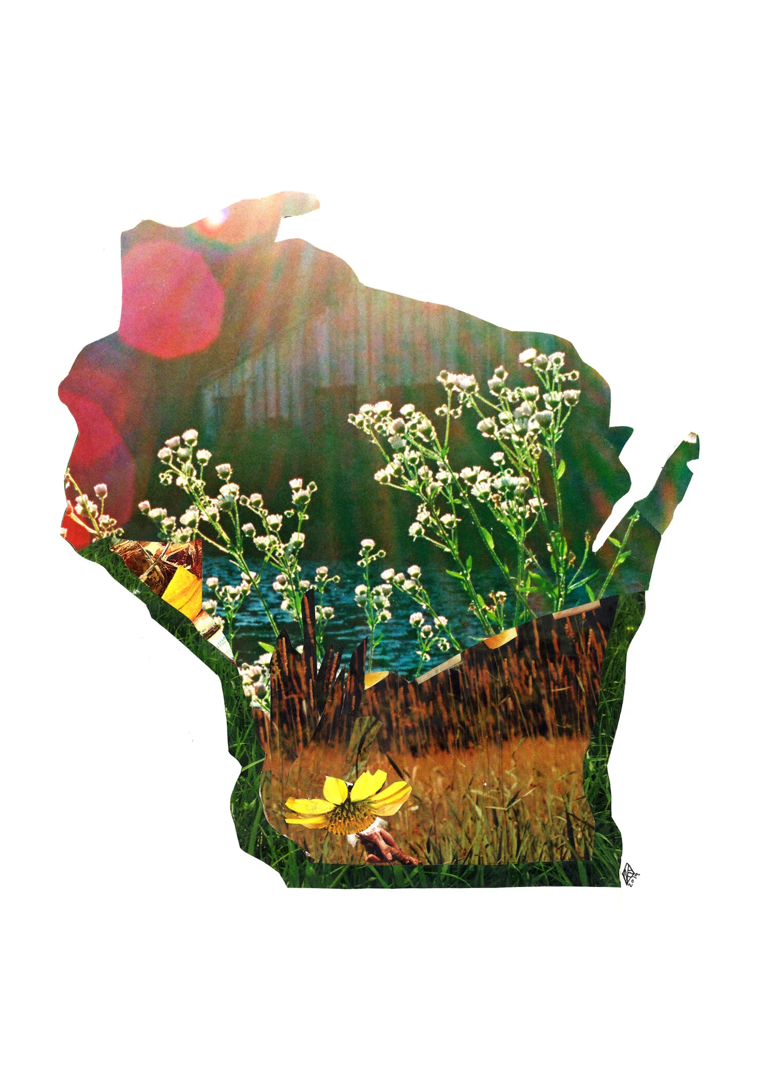 capturing the essence meaning