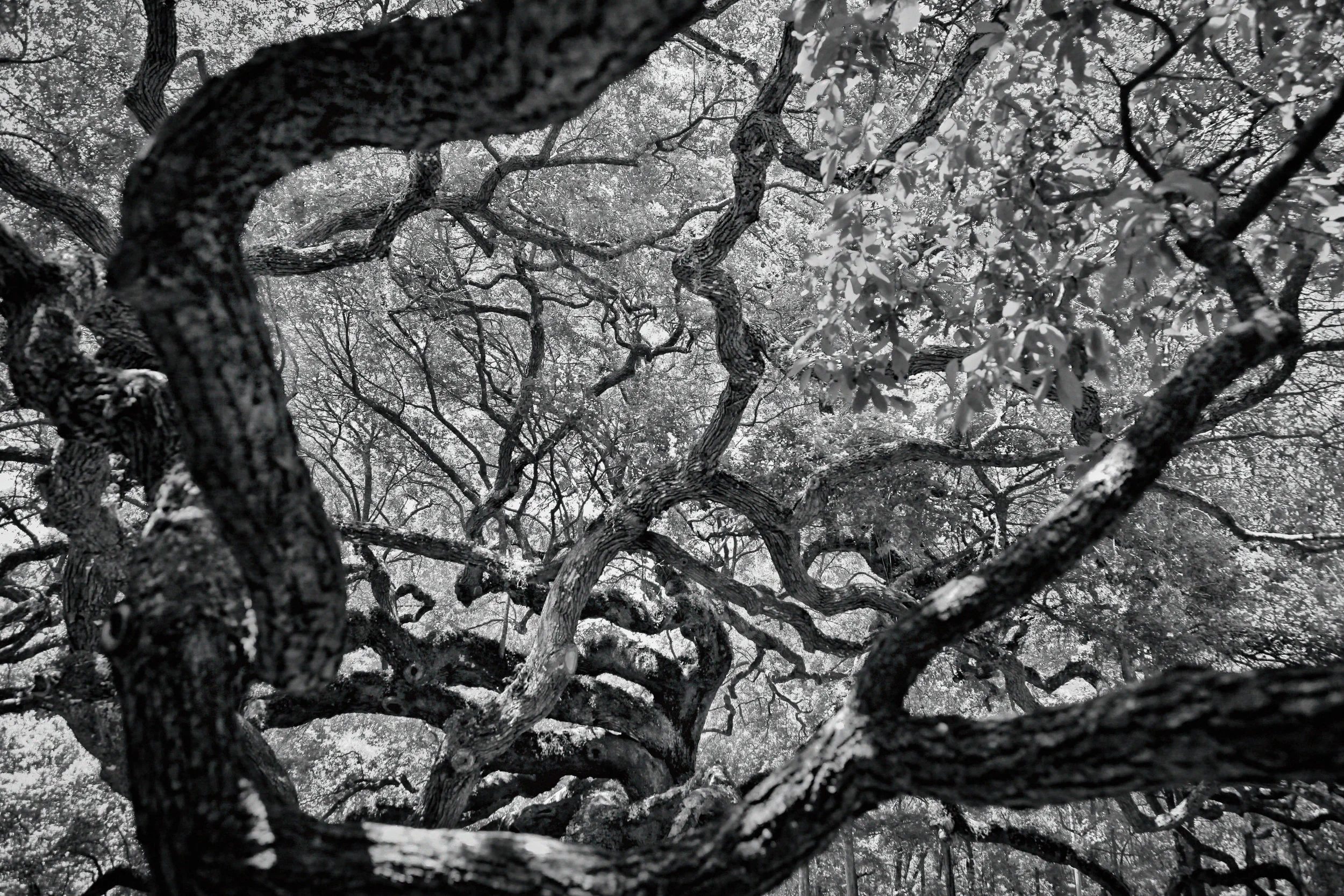 June Meeting - USC Alumni Center