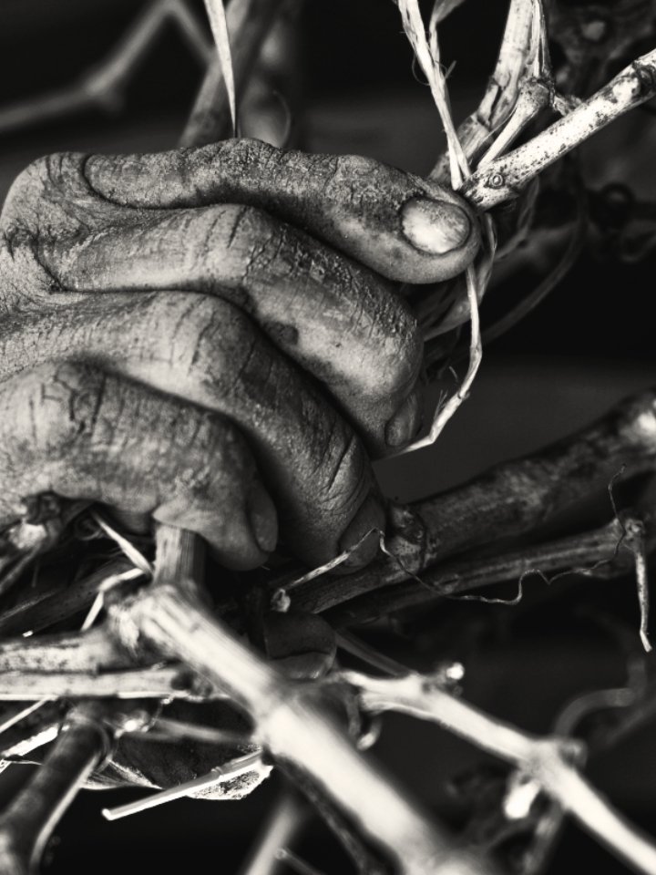 Manos-Negras-winemaker-Uva-Imports-hands.jpg