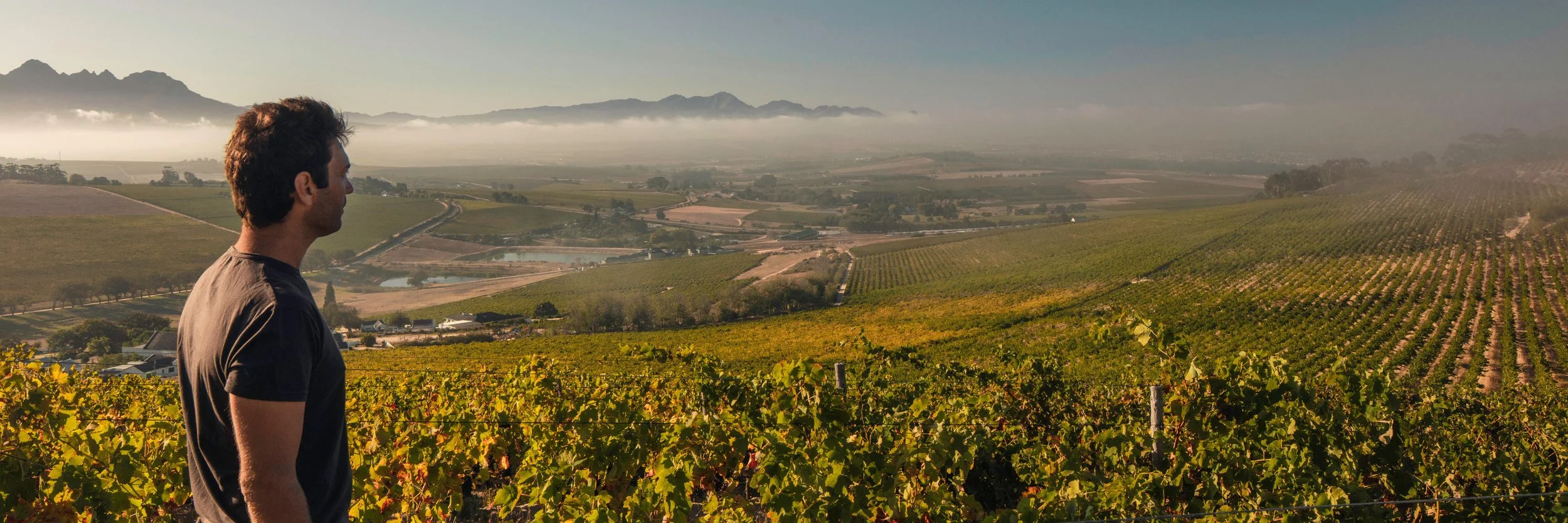 Damascene_Stellenbosch_Syrah_1.jpeg