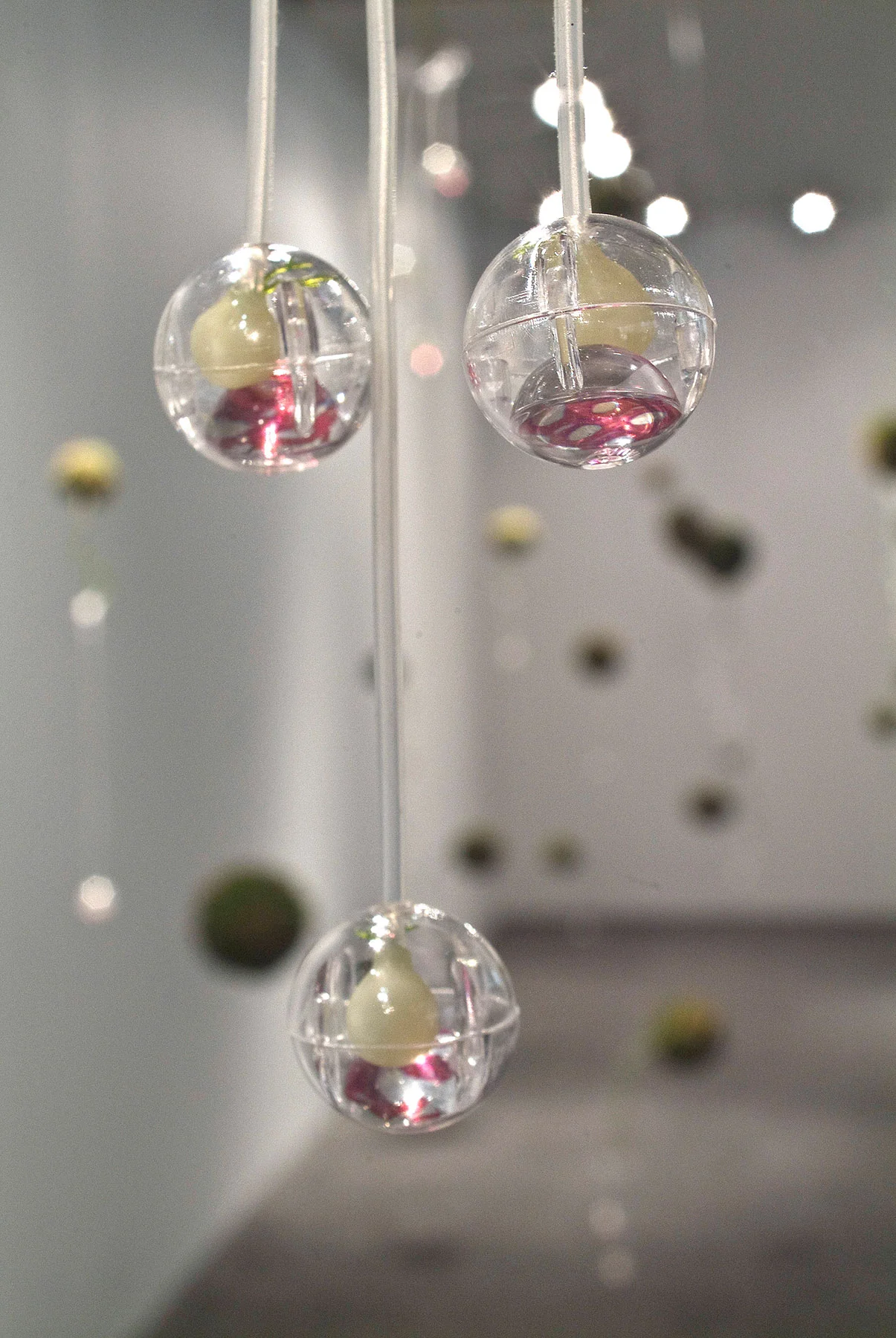 dispersion4_Gene57.jpg