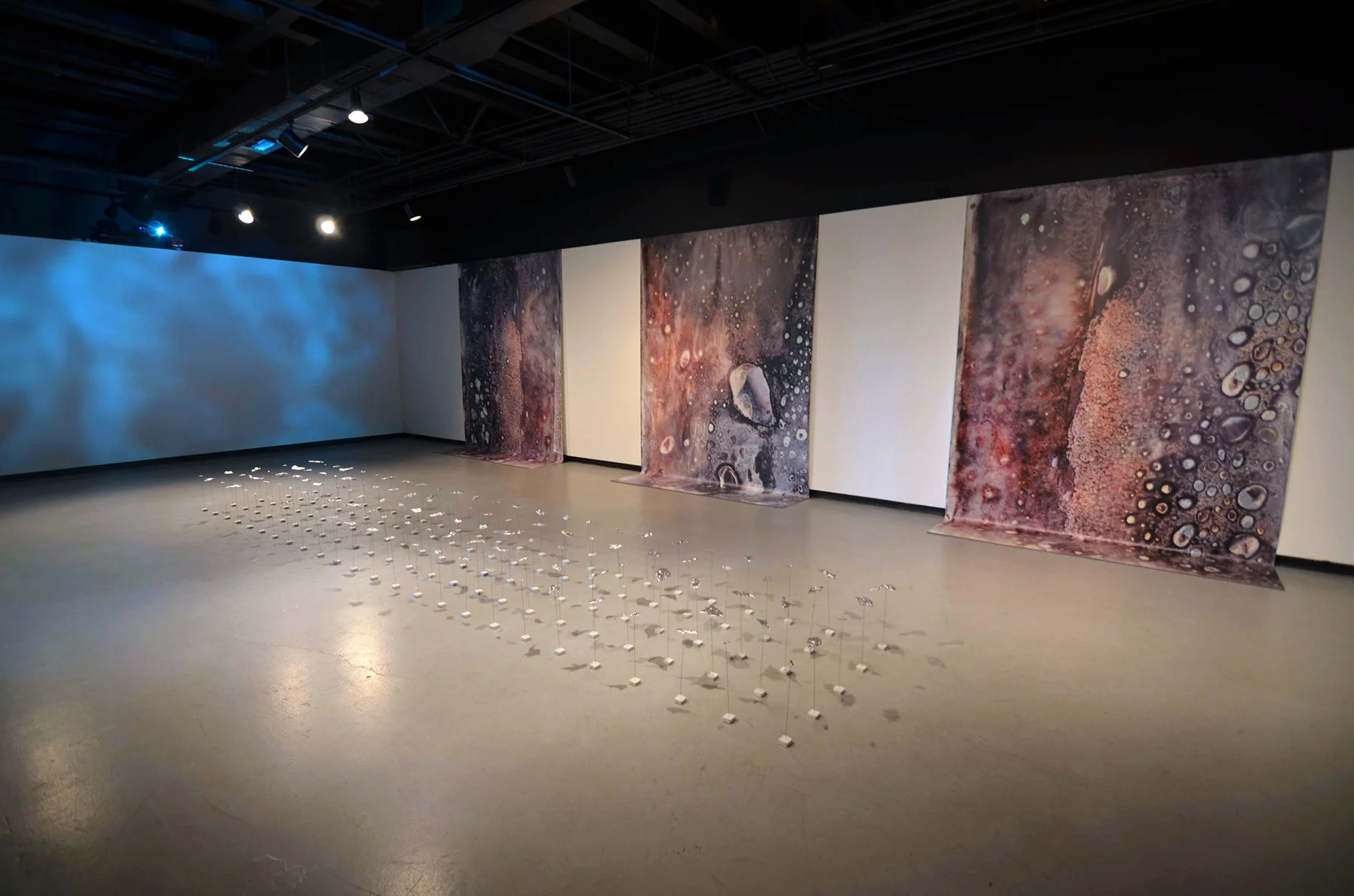 displace_01_ry_0134.jpg