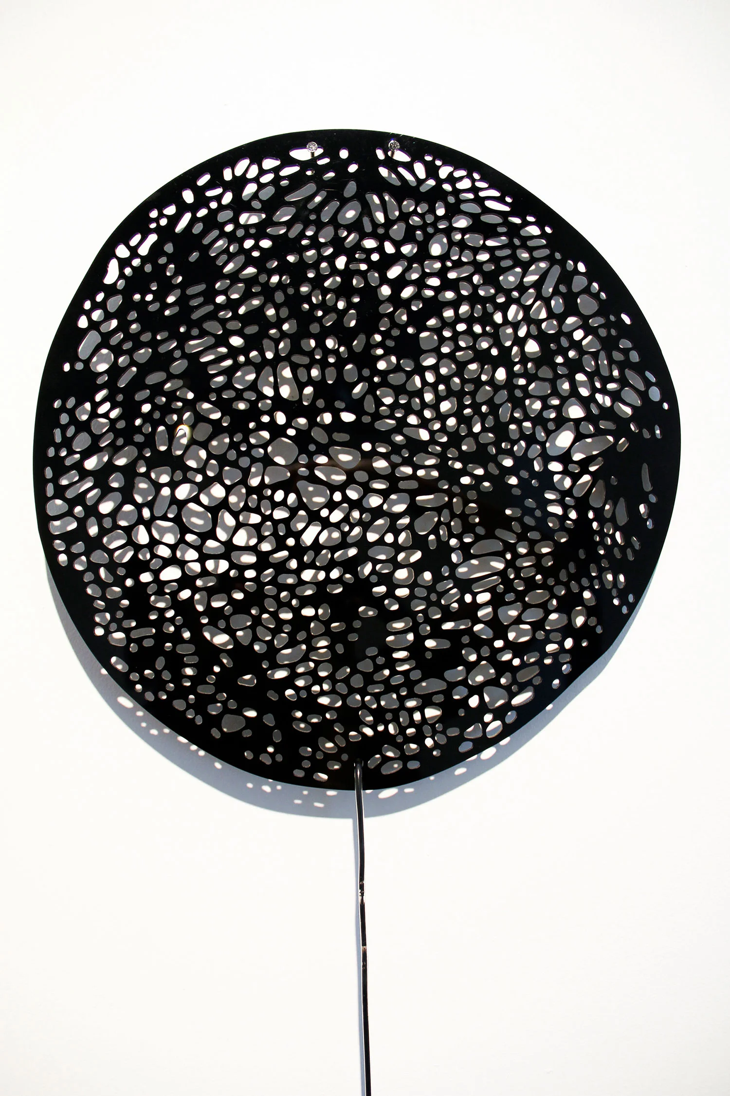 capsule2_0509.jpg