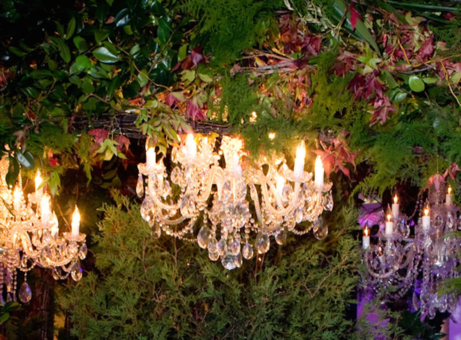 birch-bespoke-events-and-weddings-5.jpg