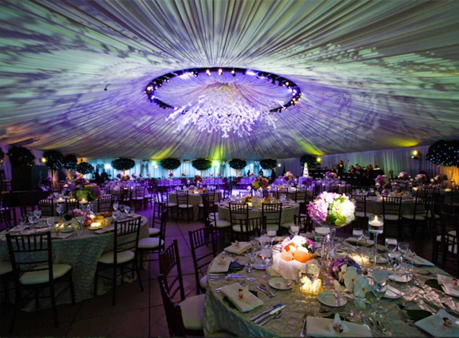 A Vibrant Tented Garden