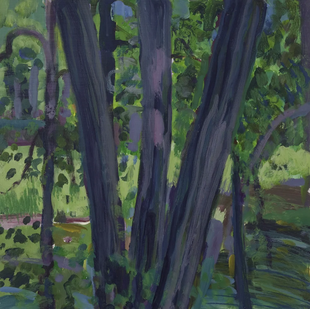 Glendale Woods Summer