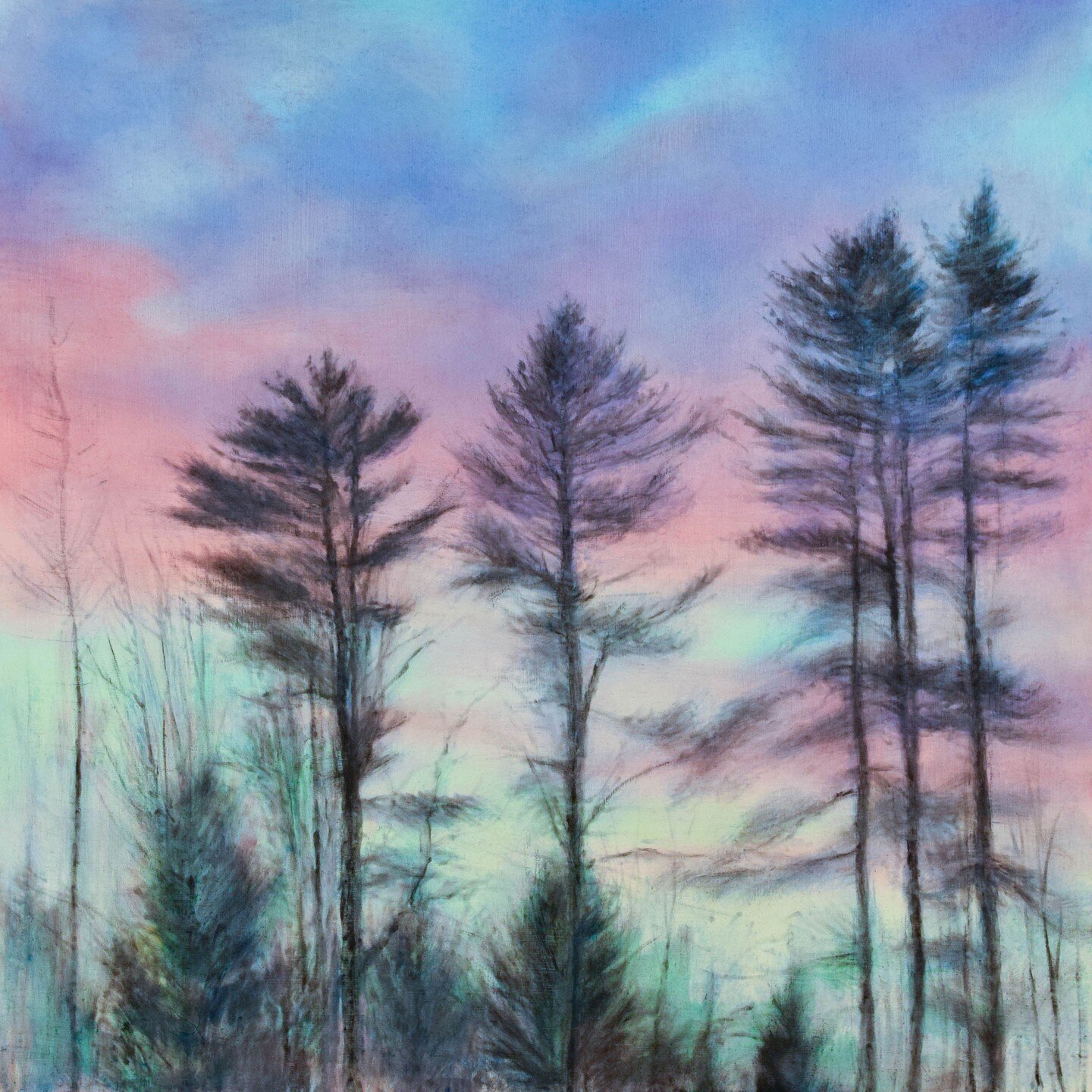 &quot;Glendale Pines, Sunset&quot;, 2022
20x20&quot;, Oil over charcoal, on panel.