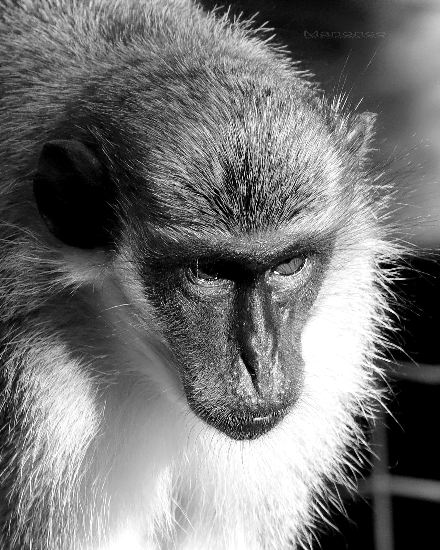 _MG_5635 BW NEW.jpg