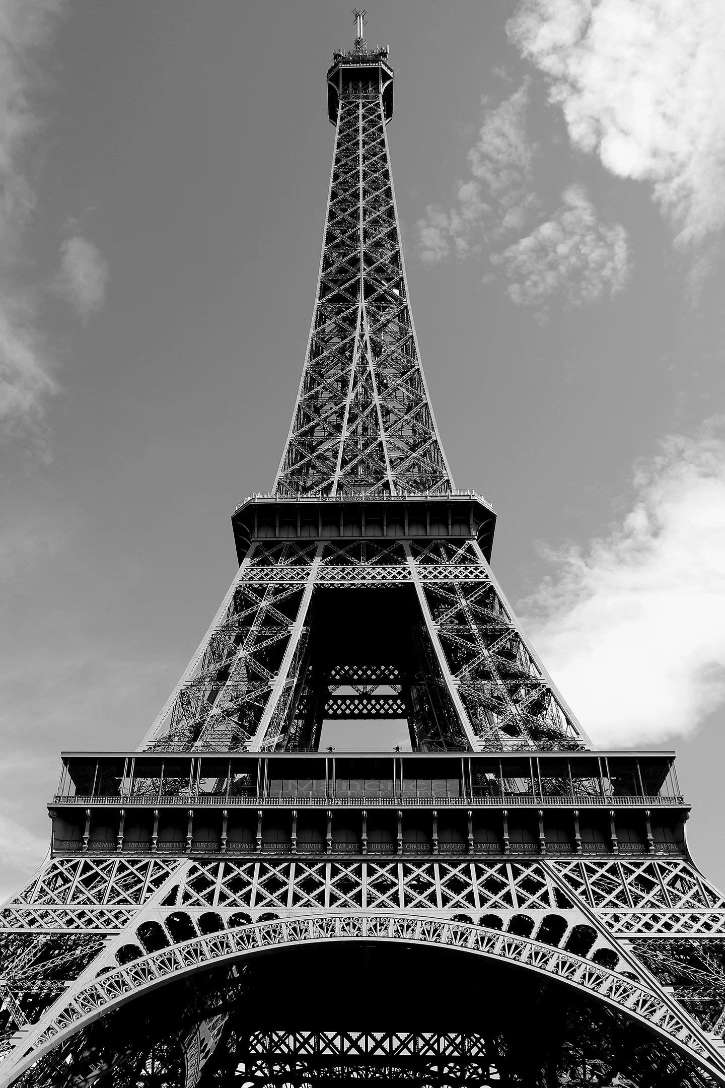 IMG_6556 BW NEW.jpg