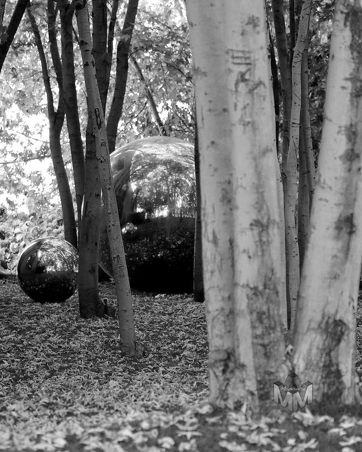 IMG_3840 BW NEW.jpg