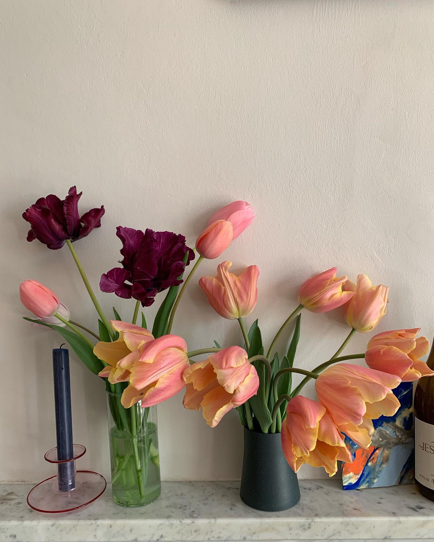Almost the last of the tulips now to get the seedlings planted out, feeling very behind with the garden compared to last year 🌱💫