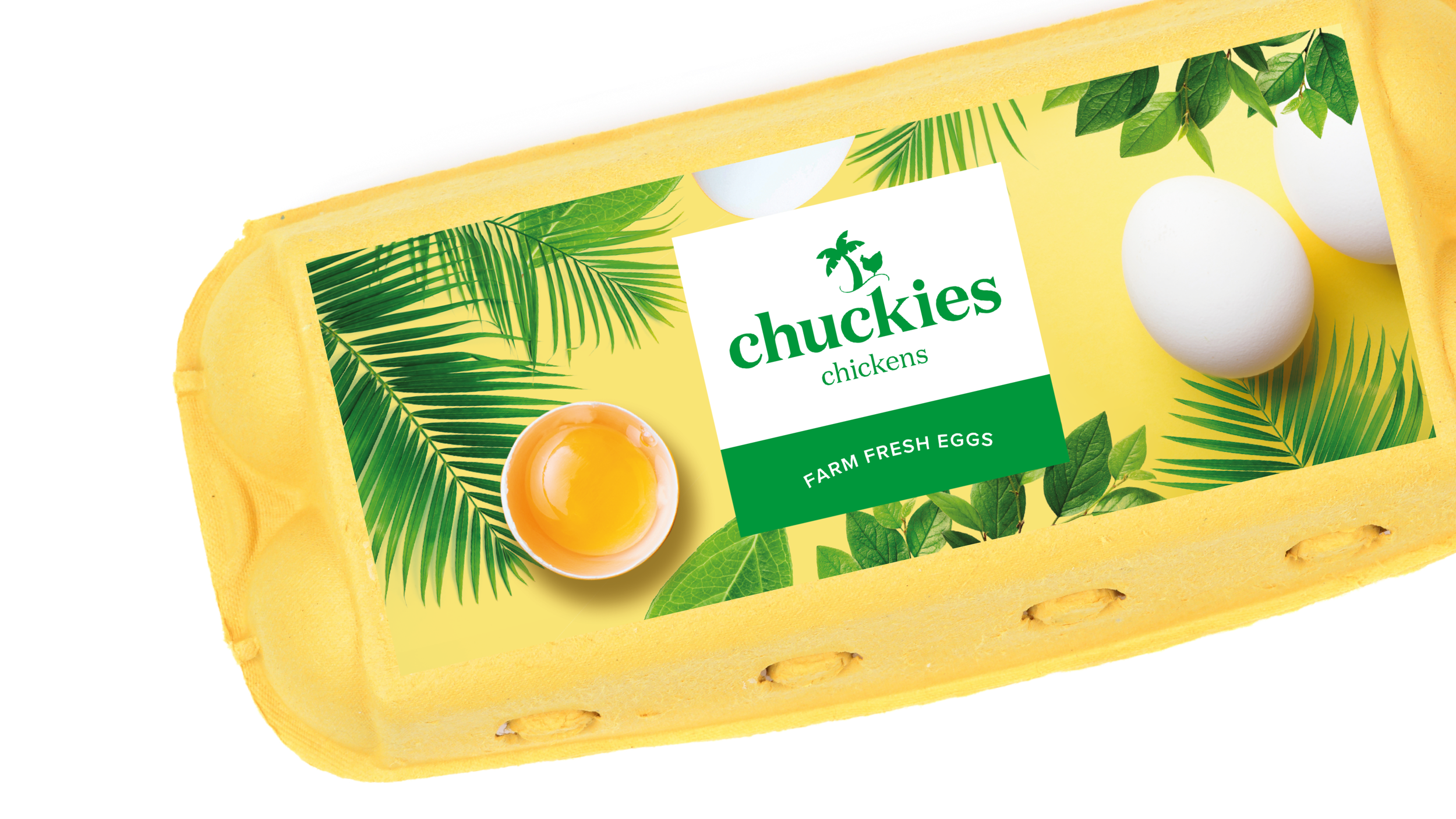 2020 Folio_Colour_Working file_shortened35.png