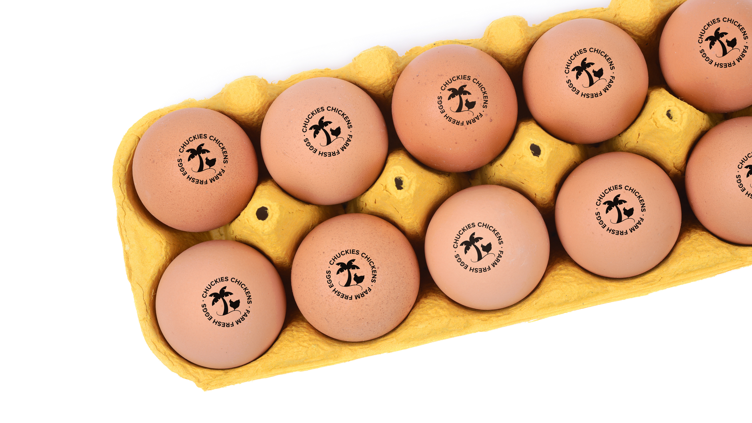 2020 Folio_Colour_Working file_shortened36.png