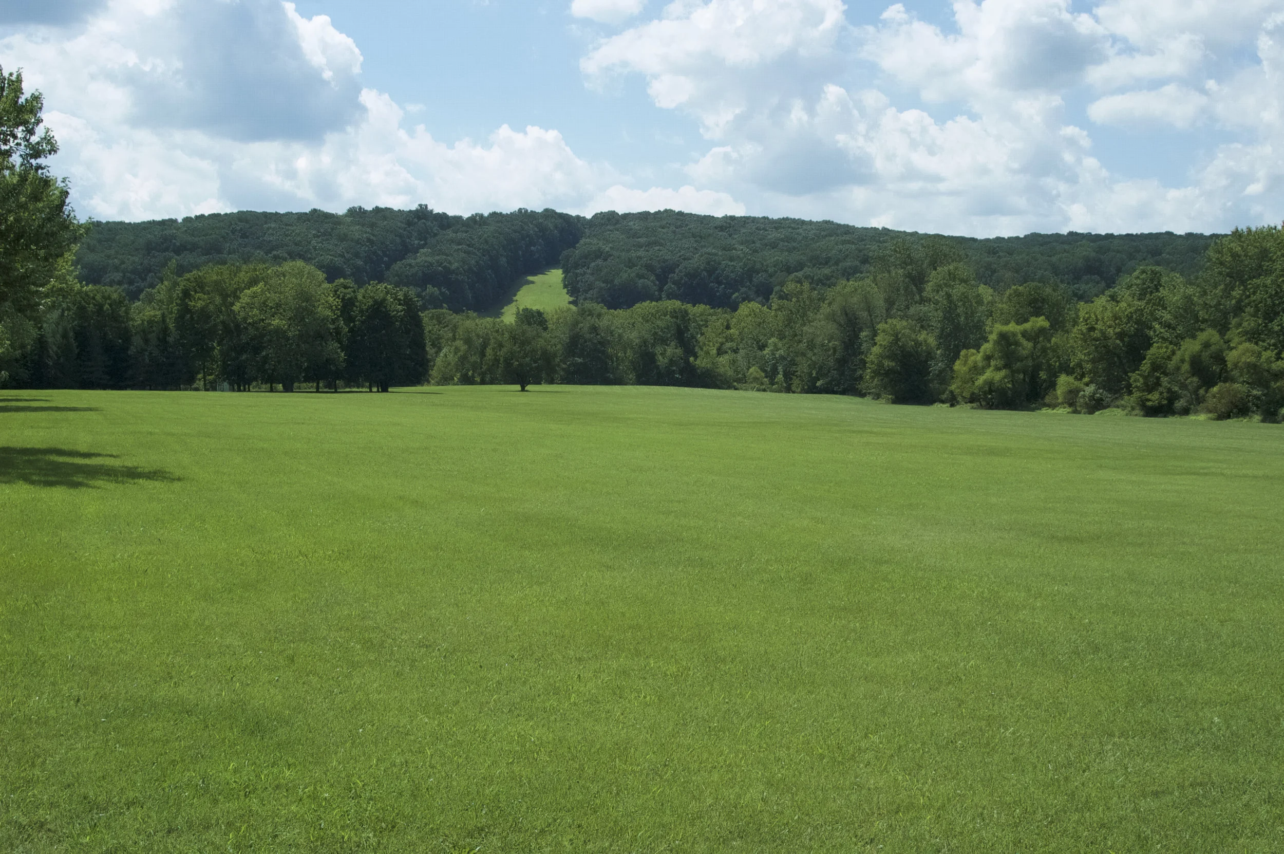 DSC_8200.jpg
