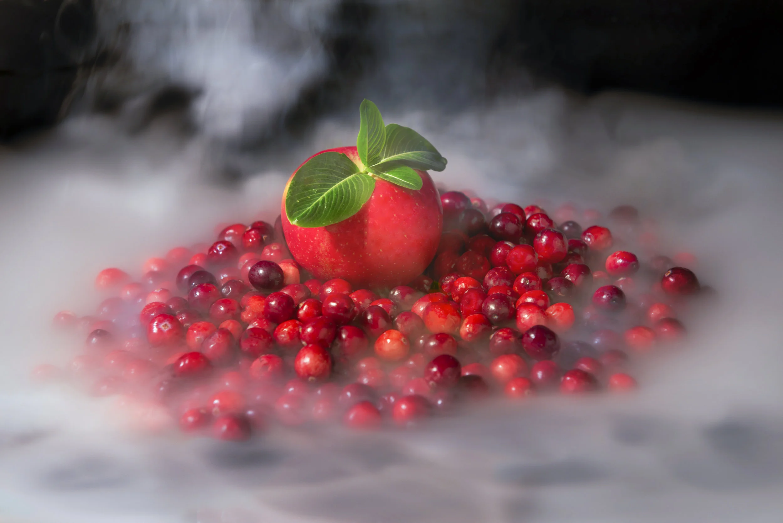 Delicious Red Apple Surounded By Cranberries Submerged in Dry Ice sq.jpg