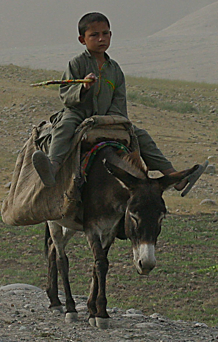 Boy alone on donkey.jpg