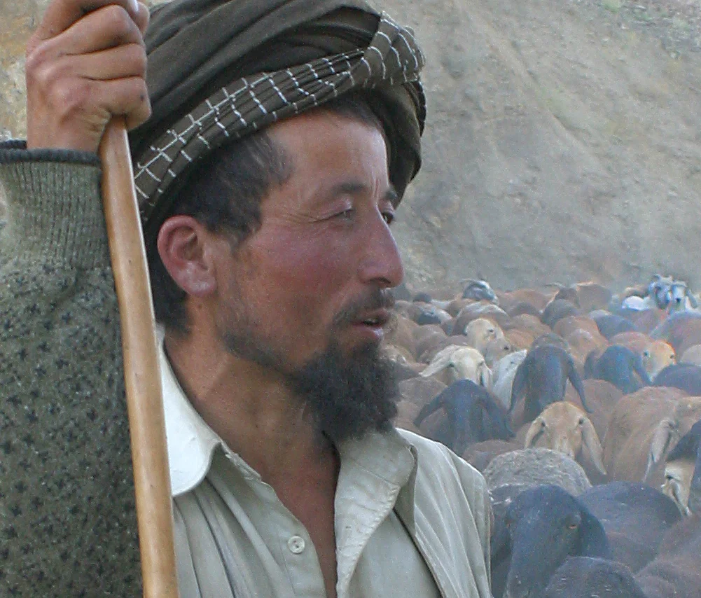 Sheep herder in Afghanistan.jpg