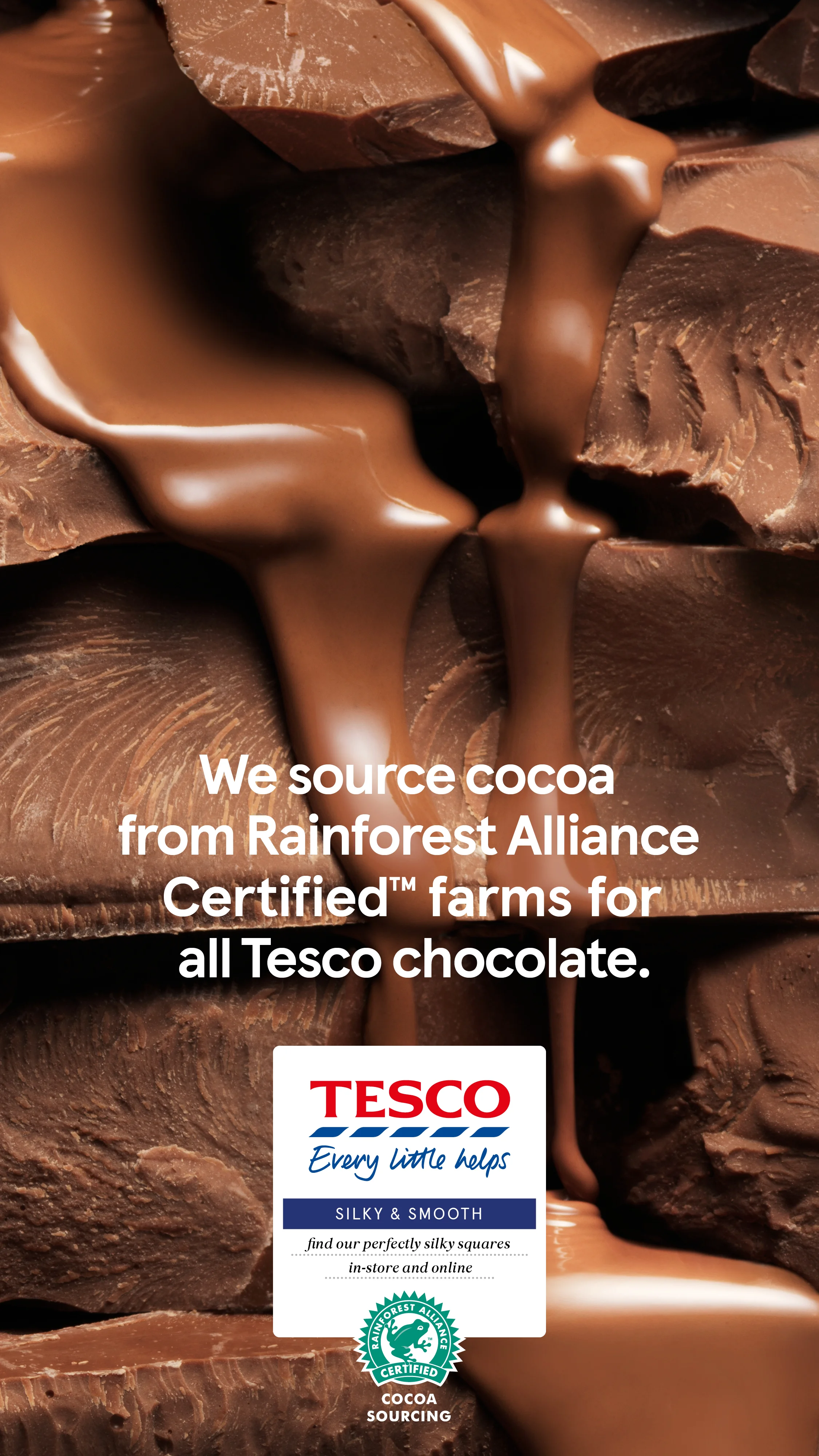 61693_FLS_Chocolate_D6.jpeg