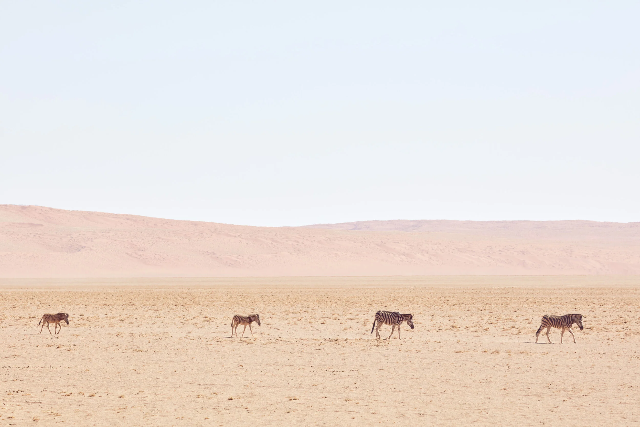 ©www.jonathangregson.co.uk_Namibia_023.jpg