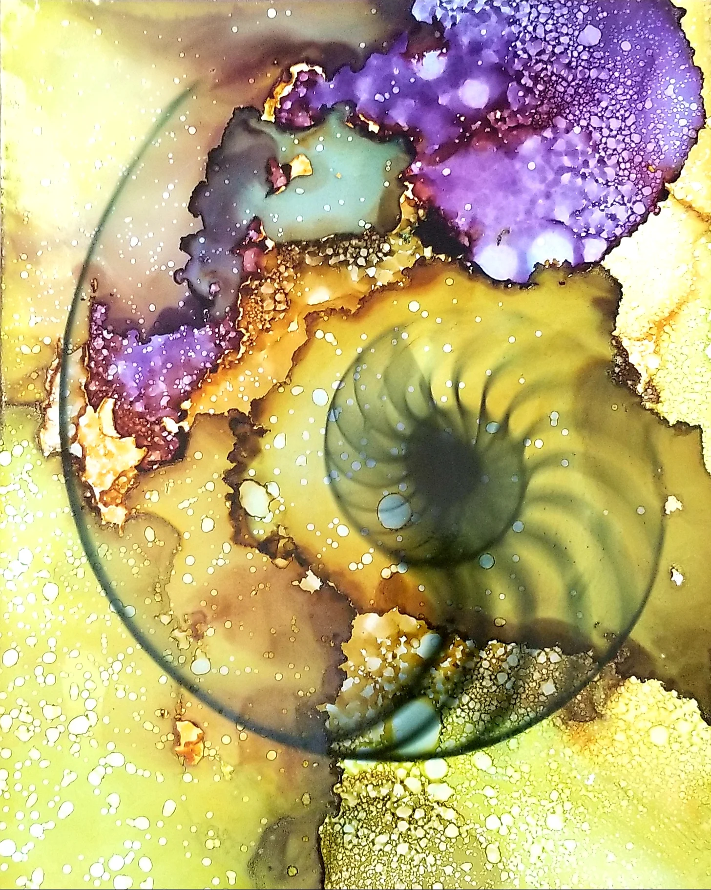 Galapagos edit.jpg