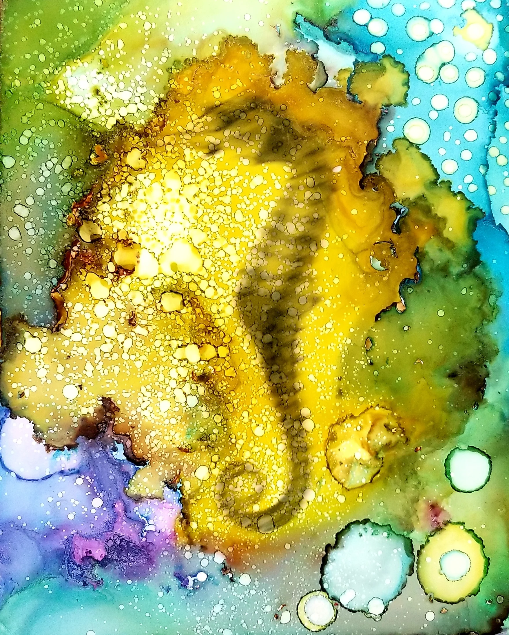 Seahorse edit.jpg