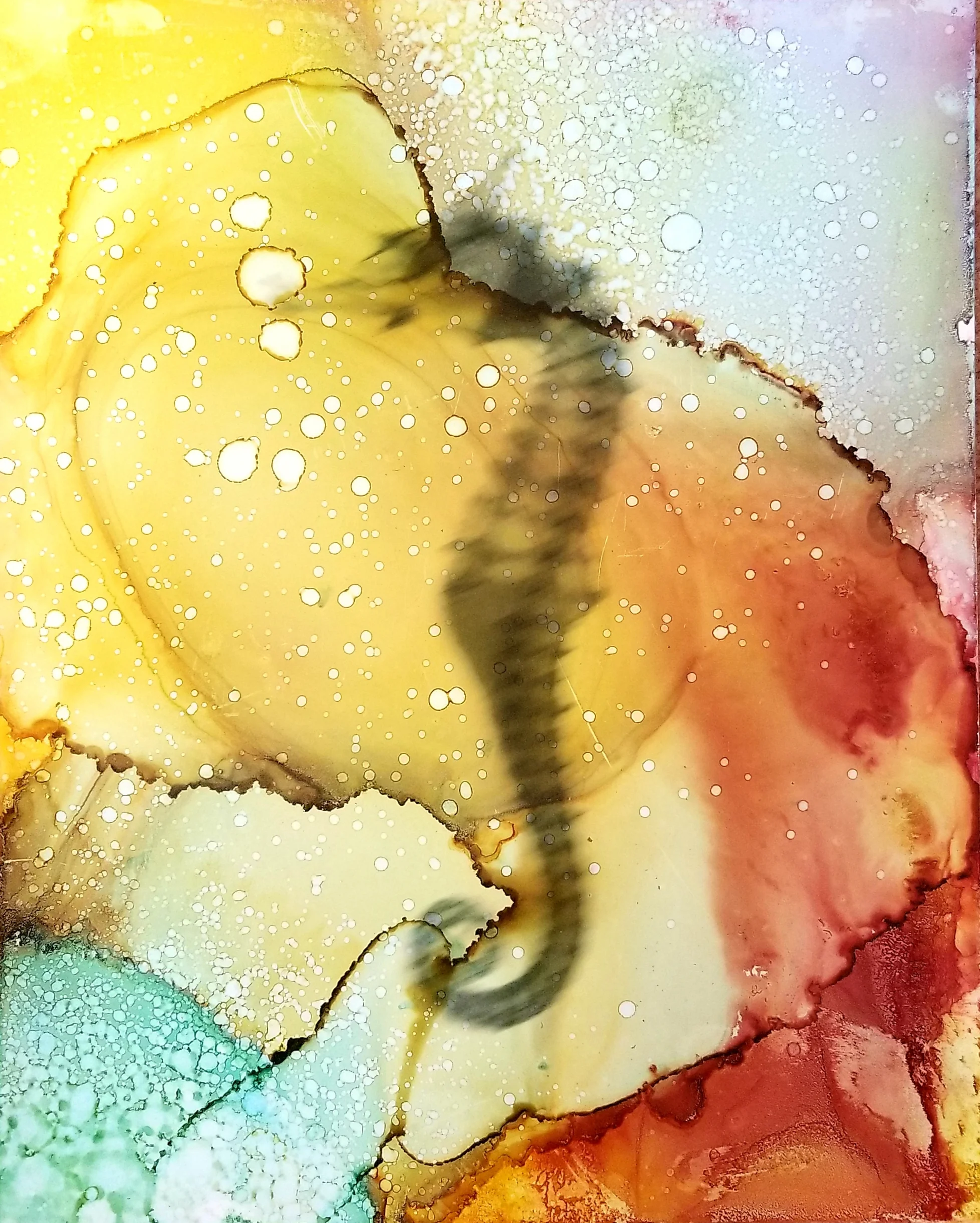 Seahorse 3.jpg