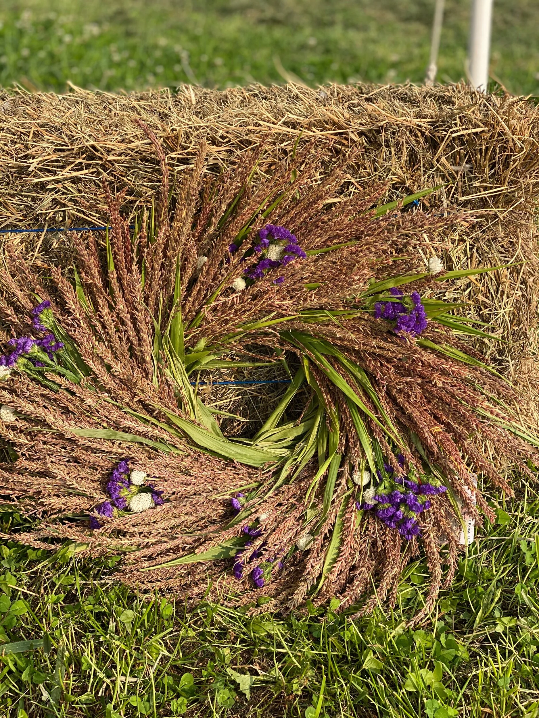 31683312-5C81-40B2-BDAF-FD6B19D73E1B