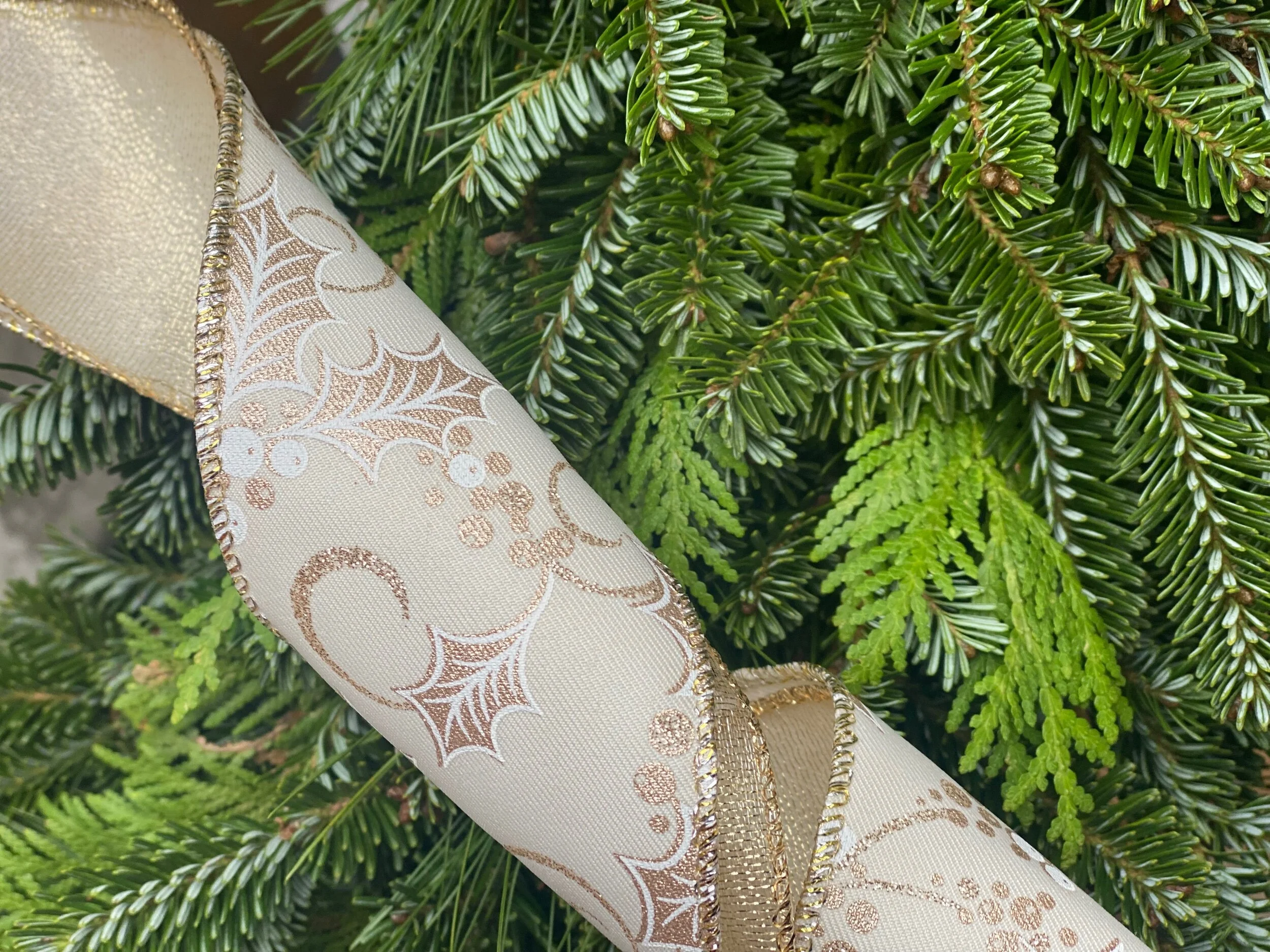 B9D66686-01ED-4C4C-9D90-F84F550EFFAB