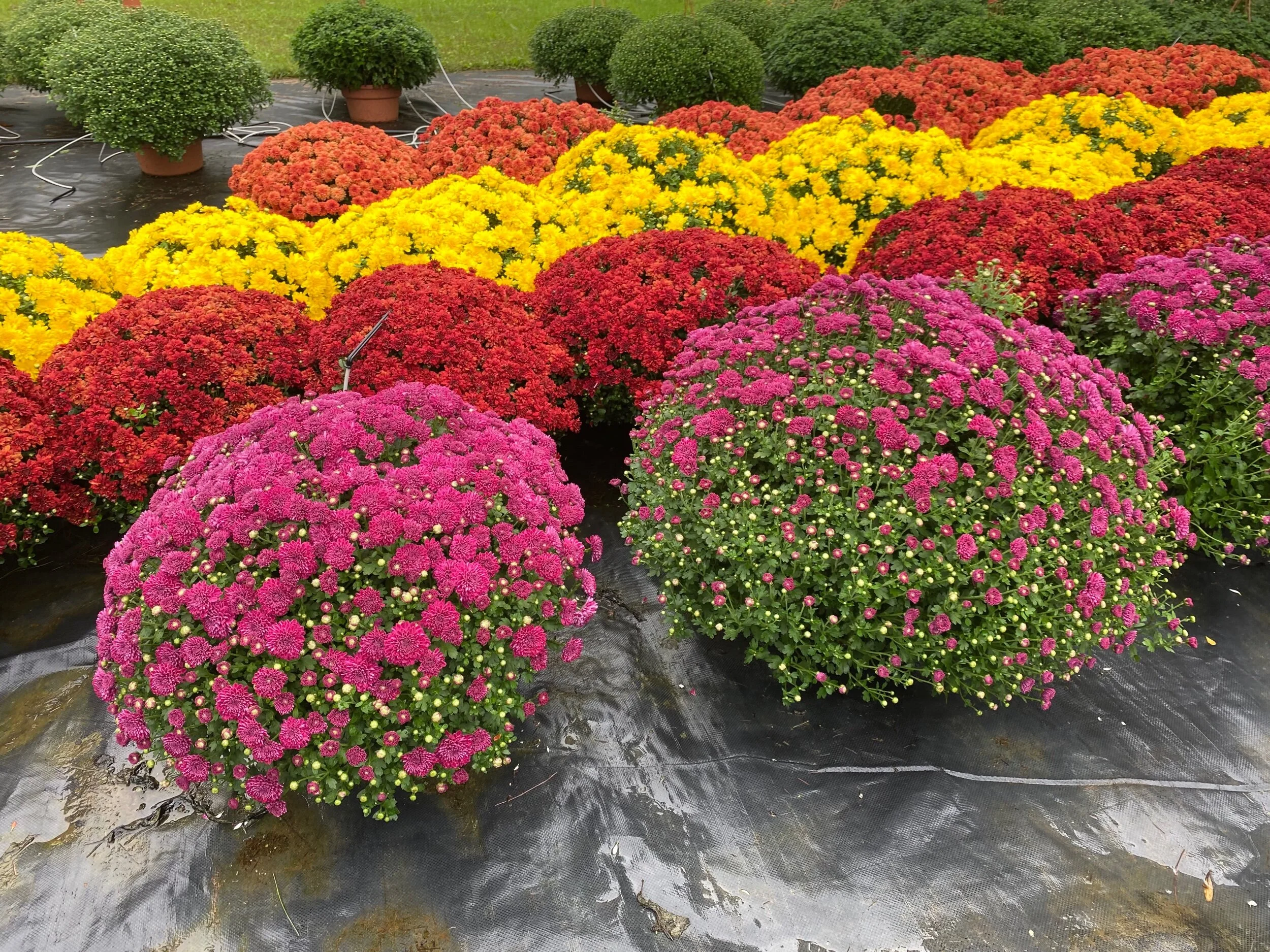 B8ABE112-5FA9-402D-9D27-B3493C91E7F8