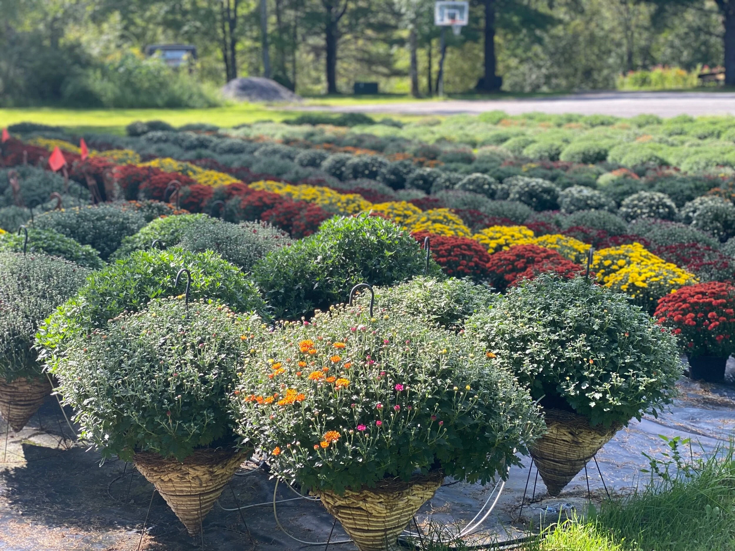 63142510-EF36-46FD-B737-5C1D2EDC696D